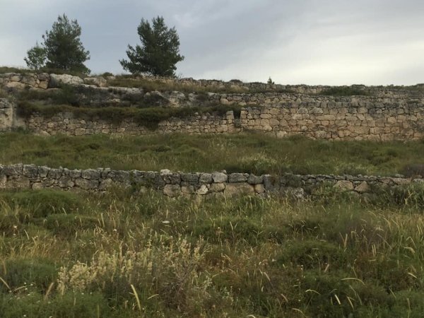 عمواس/ قرى اللطرون / بين رام الله والرملة | موسوعة القرى الفلسطينية