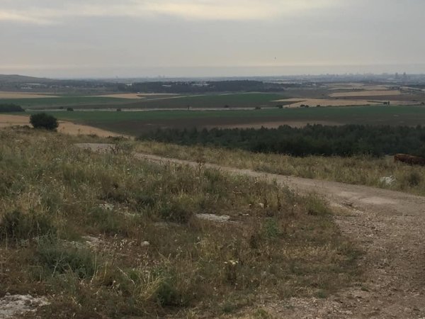 عمواس/ قرى اللطرون / بين رام الله والرملة | موسوعة القرى الفلسطينية