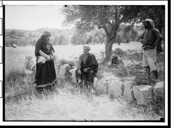 بيت سَاحُورْ | موسوعة القرى الفلسطينية
