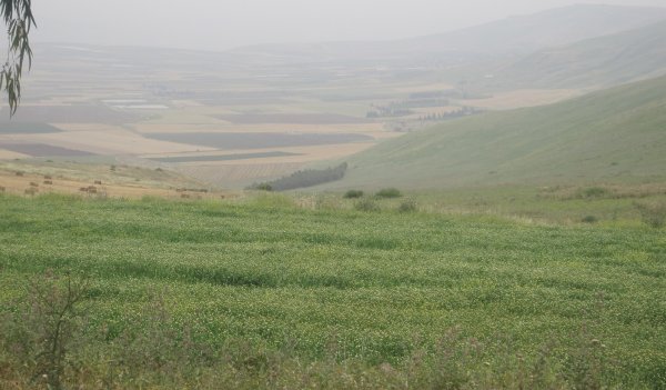 لُوبِيَا/ لُوبِيَة | موسوعة القرى الفلسطينية