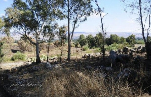 الزُوْق التَحْتَانِي | موسوعة القرى الفلسطينية