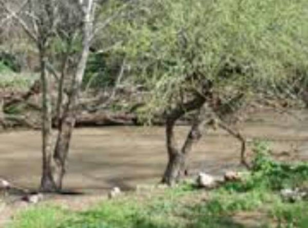 الزُوْق التَحْتَانِي | موسوعة القرى الفلسطينية