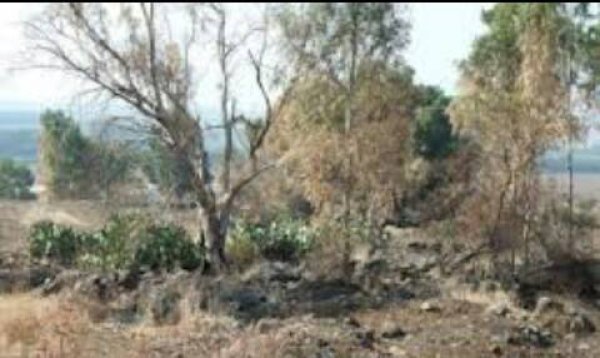 الزُوْق التَحْتَانِي | موسوعة القرى الفلسطينية