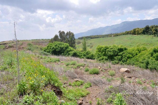 الزُوْق التَحْتَانِي | موسوعة القرى الفلسطينية