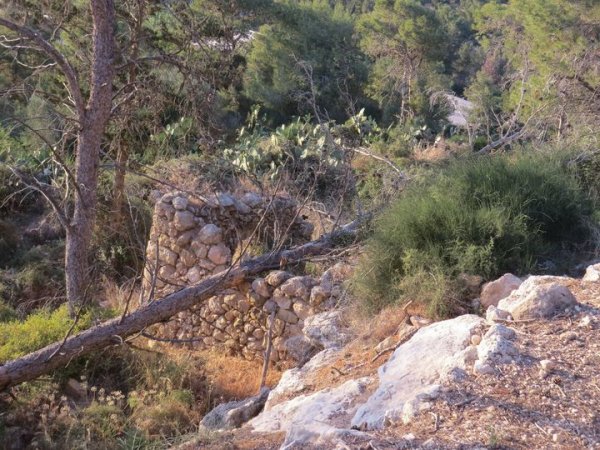 جَبَعْ/ قرى جبل الكرمل | موسوعة القرى الفلسطينية