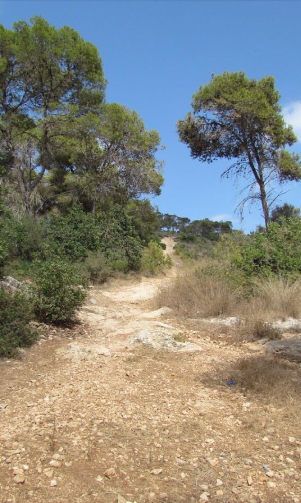 جَبَعْ/ قرى جبل الكرمل | موسوعة القرى الفلسطينية