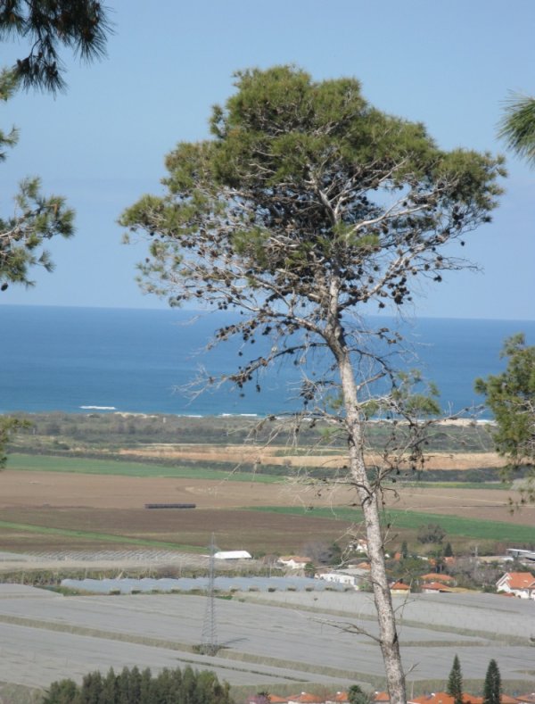 جَبَعْ/ قرى جبل الكرمل | موسوعة القرى الفلسطينية