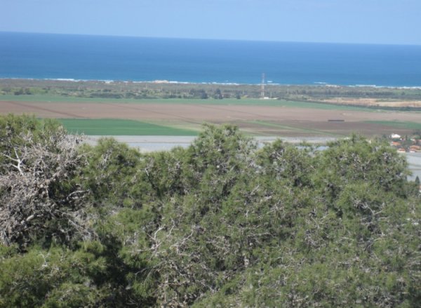 جَبَعْ/ قرى جبل الكرمل | موسوعة القرى الفلسطينية