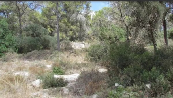 جَبَعْ/ قرى جبل الكرمل | موسوعة القرى الفلسطينية