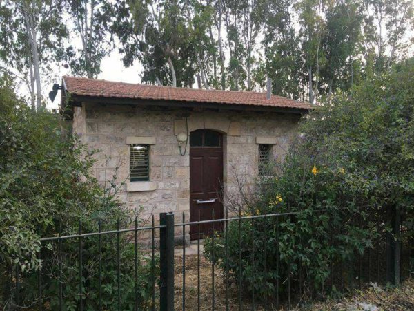 تل الشمام/ خربة دبّاشَة | موسوعة القرى الفلسطينية