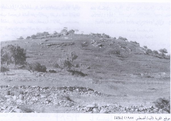 دَلاّتَه/ دَلاّتَة | موسوعة القرى الفلسطينية