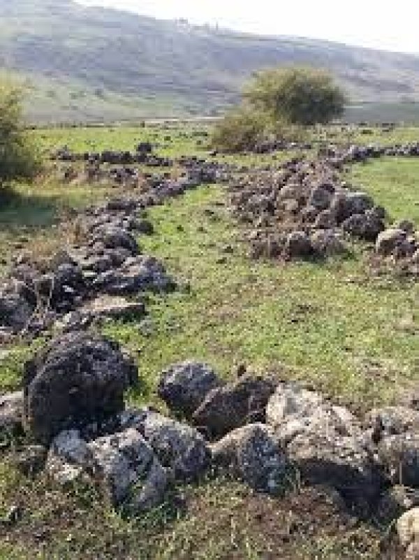 الوعرة السوداء/ عرب المواسي والوهيب | موسوعة القرى الفلسطينية