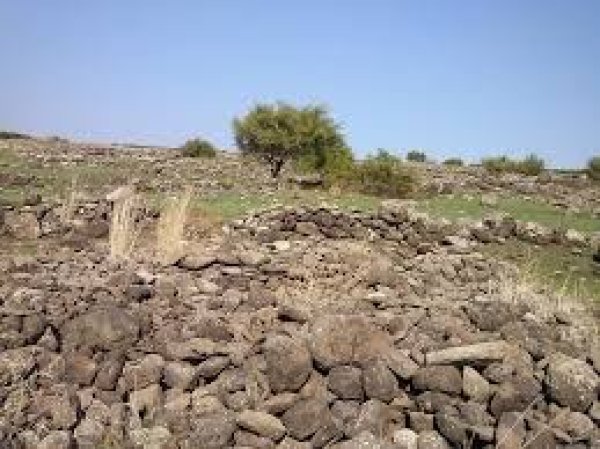 الوعرة السوداء/ عرب المواسي والوهيب | موسوعة القرى الفلسطينية