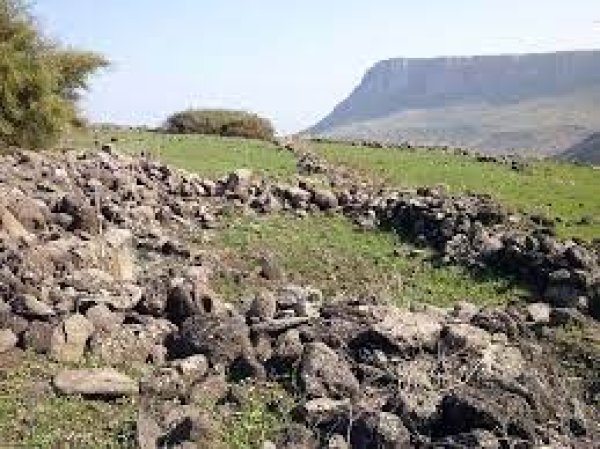 الوعرة السوداء/ عرب المواسي والوهيب | موسوعة القرى الفلسطينية