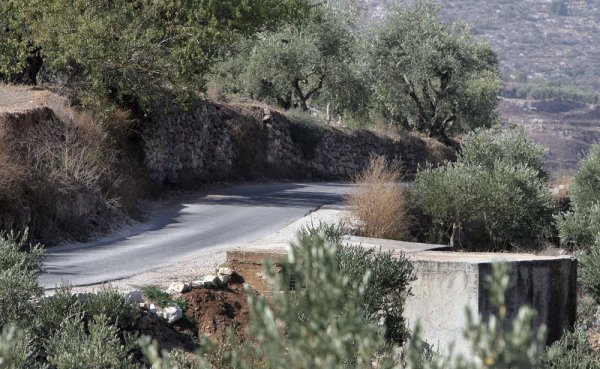 عَنَبْتَا | موسوعة القرى الفلسطينية