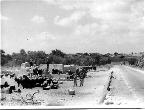 كويكات | موسوعة القرى الفلسطينية