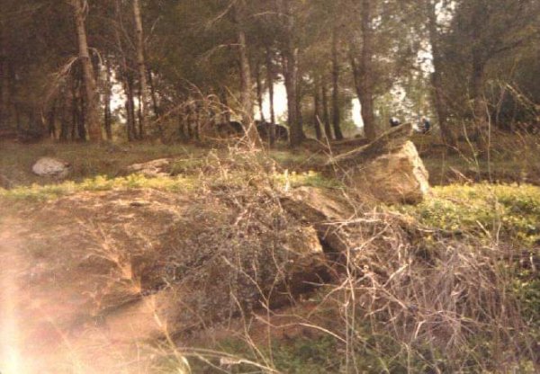 عرب الضمايرة | موسوعة القرى الفلسطينية