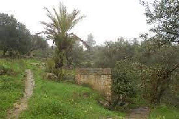 كسلا / من قرى عرقوب | موسوعة القرى الفلسطينية