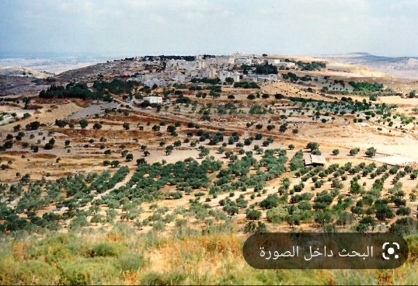 كور- قرى الكفريات السبع | موسوعة القرى الفلسطينية