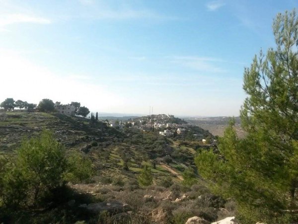 جبعة / الجبعة / من قرى عرقوب | موسوعة القرى الفلسطينية