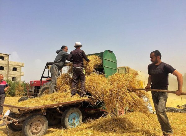 عَبَسَانْ الكبيرة- محافظة خاَنْ يُونِسْ | موسوعة القرى الفلسطينية