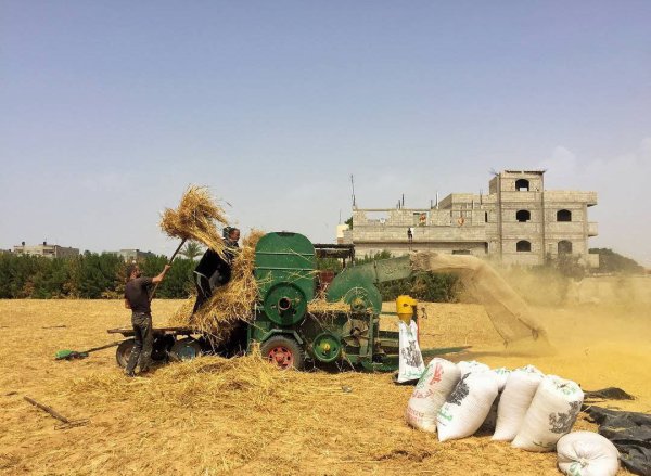عَبَسَانْ الكبيرة- محافظة خاَنْ يُونِسْ | موسوعة القرى الفلسطينية