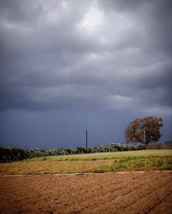 عَبَسَانْ الكبيرة- محافظة خاَنْ يُونِسْ | موسوعة القرى الفلسطينية