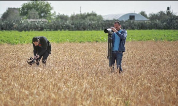 عَبَسَانْ الكبيرة- محافظة خاَنْ يُونِسْ | موسوعة القرى الفلسطينية