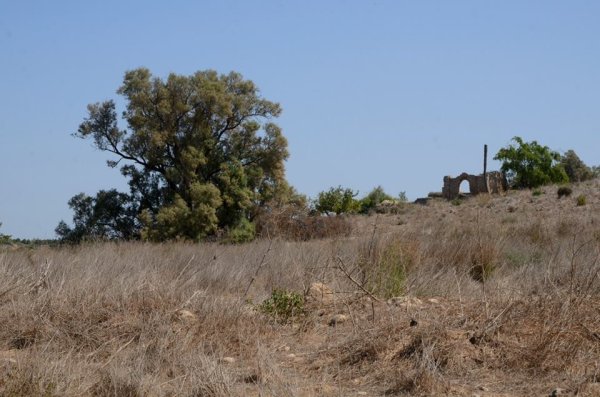 بَيتْ طِيْمَا | موسوعة القرى الفلسطينية