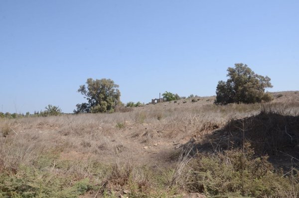 بَيتْ طِيْمَا | موسوعة القرى الفلسطينية