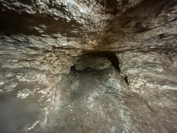 الكُفَيْر | موسوعة القرى الفلسطينية