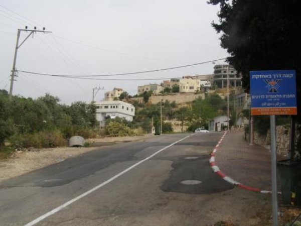 بَيَّاضَة/ قرى جنين المحتلة عام 1949 | موسوعة القرى الفلسطينية