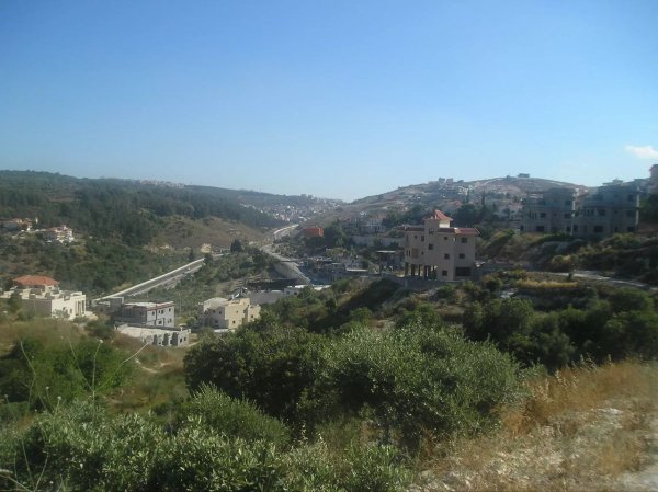 بَيَّاضَة/ قرى جنين المحتلة عام 1949 | موسوعة القرى الفلسطينية