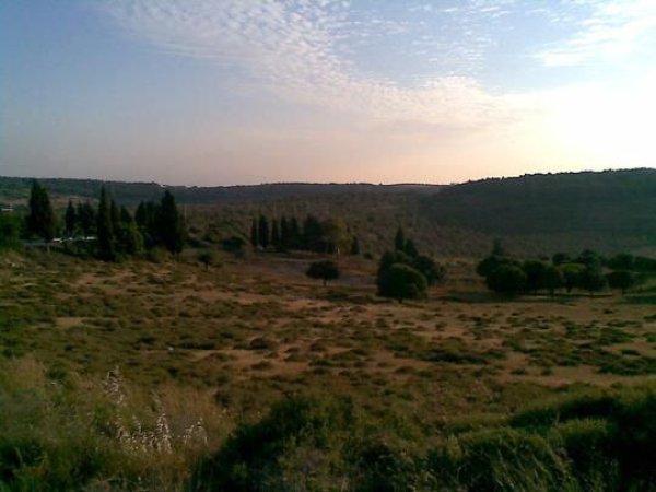 بَيَّاضَة/ قرى جنين المحتلة عام 1949 | موسوعة القرى الفلسطينية