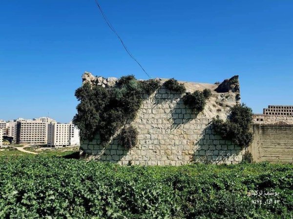 تِلْفِيت/ تلبيوت | موسوعة القرى الفلسطينية