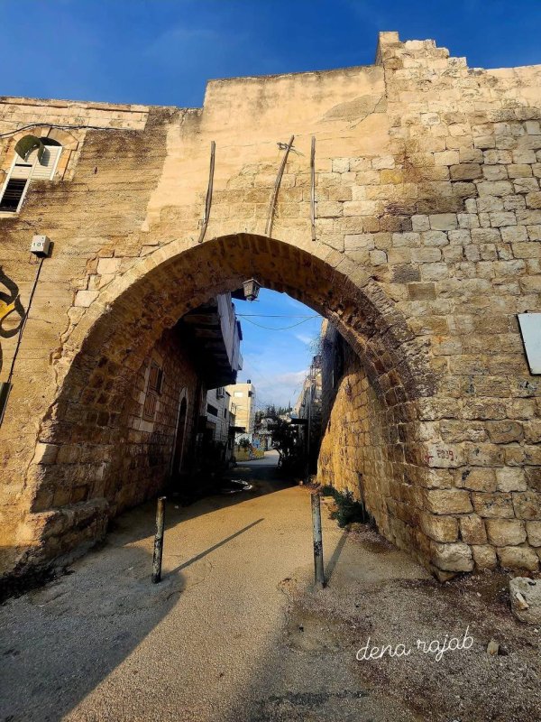 عَنَبْتَا | موسوعة القرى الفلسطينية