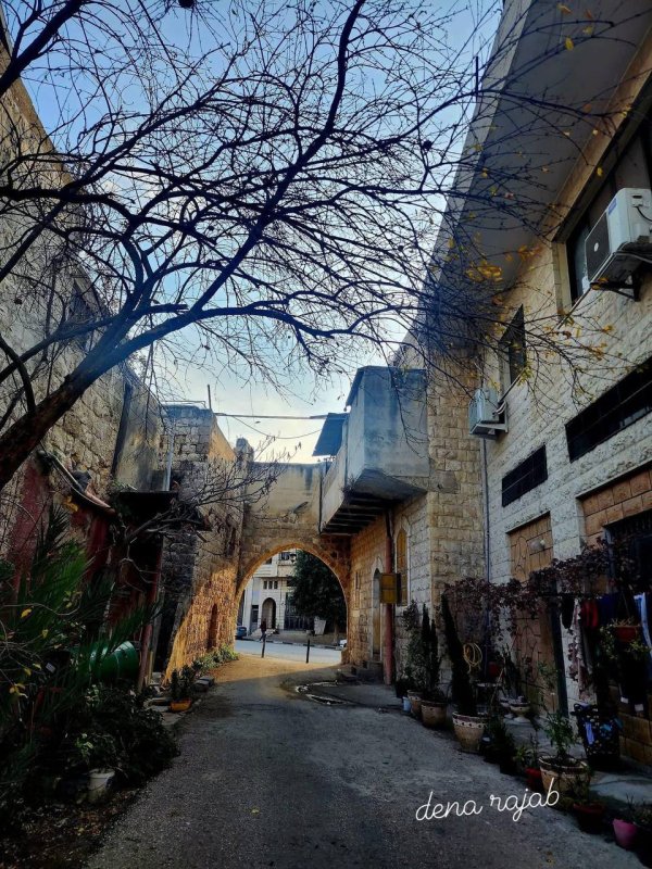 عَنَبْتَا | موسوعة القرى الفلسطينية