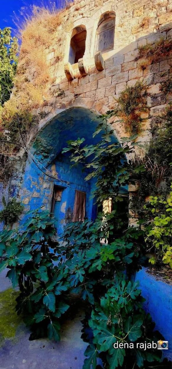 يَعْبَدْ | موسوعة القرى الفلسطينية