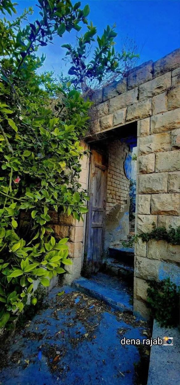 يَعْبَدْ | موسوعة القرى الفلسطينية