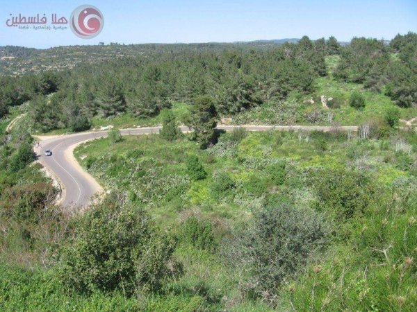 عين غزال / قرى جبل الكرمل | موسوعة القرى الفلسطينية