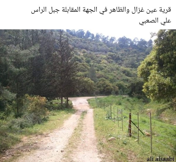 عين غزال / قرى جبل الكرمل | موسوعة القرى الفلسطينية