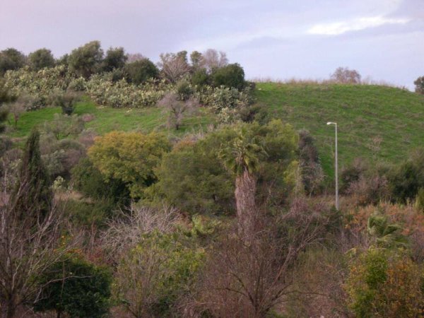 عمواس/ قرى اللطرون / بين رام الله والرملة | موسوعة القرى الفلسطينية