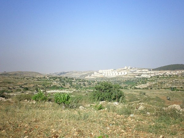 الخضر | موسوعة القرى الفلسطينية