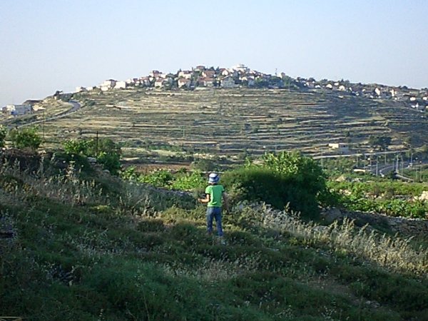 الخضر | موسوعة القرى الفلسطينية