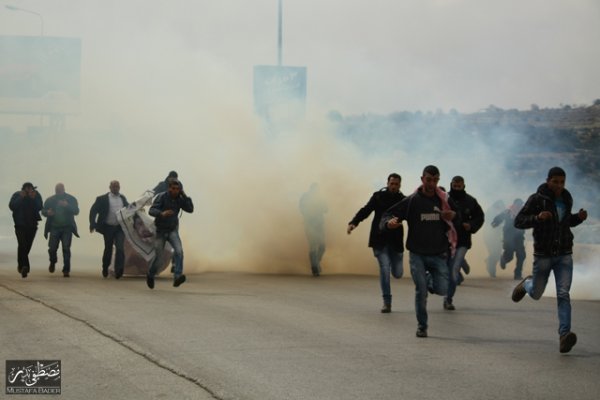 الخضر | موسوعة القرى الفلسطينية