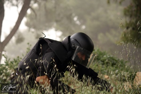 الخضر | موسوعة القرى الفلسطينية