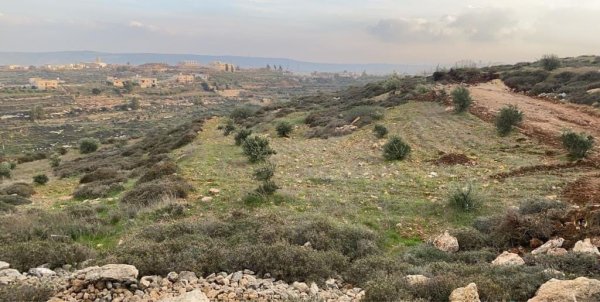 مراح رباح | موسوعة القرى الفلسطينية