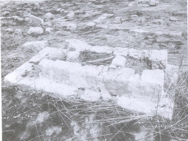 المنشية | موسوعة القرى الفلسطينية