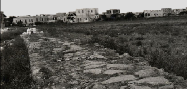 المنشية | موسوعة القرى الفلسطينية