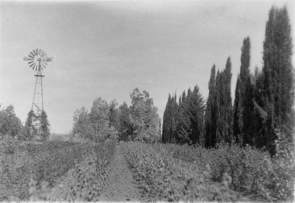 المنشية | موسوعة القرى الفلسطينية